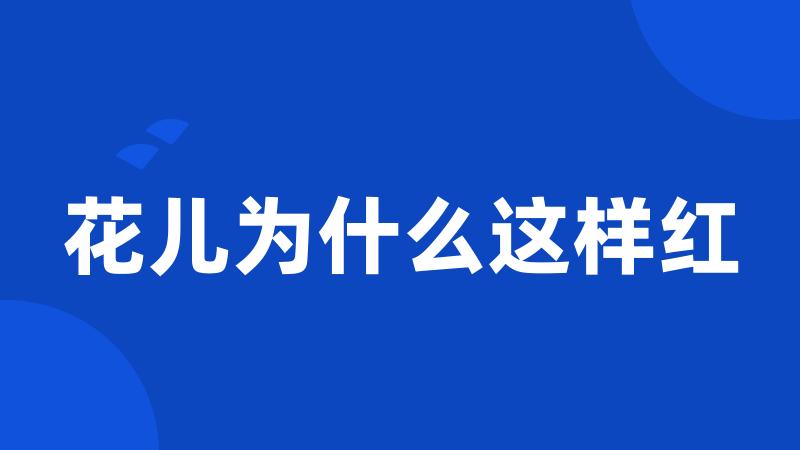 花儿为什么这样红