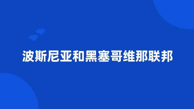 波斯尼亚和黑塞哥维那联邦