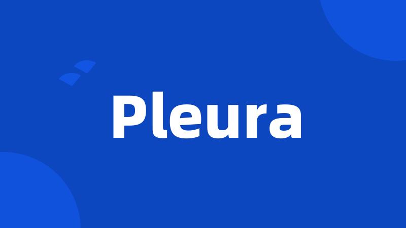 Pleura