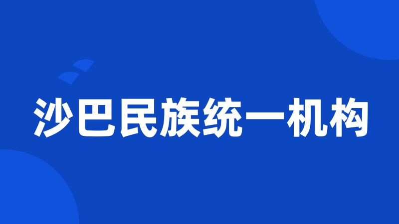 沙巴民族统一机构