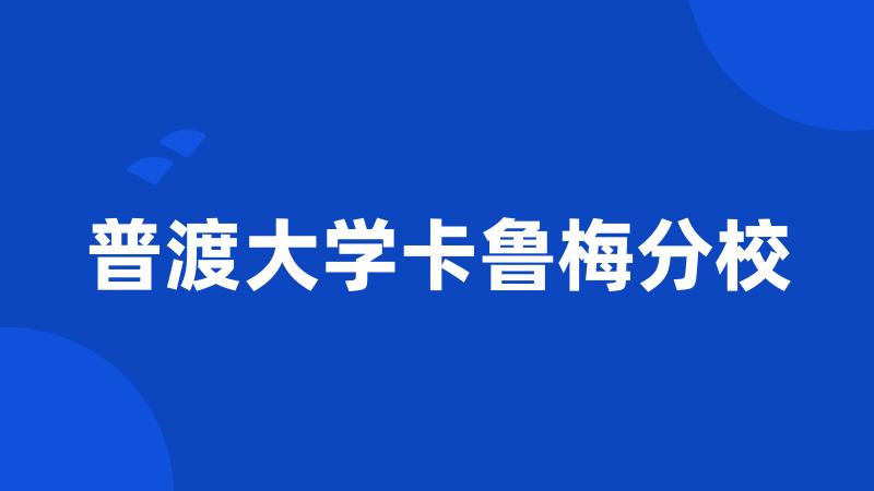 普渡大学卡鲁梅分校