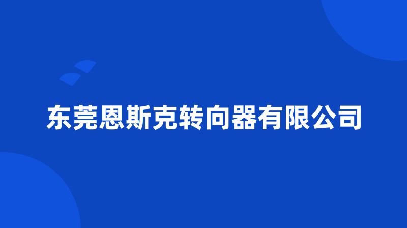 东莞恩斯克转向器有限公司