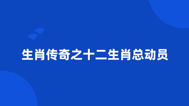 生肖传奇之十二生肖总动员