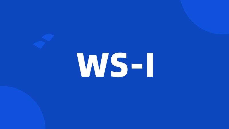 WS-I