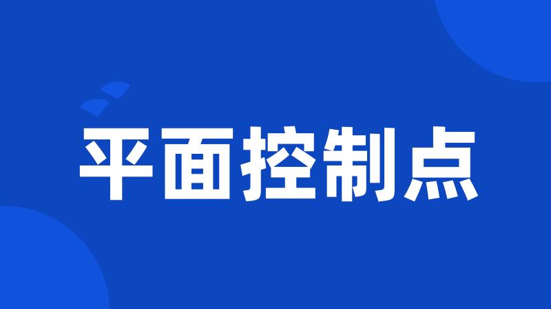 平面控制点