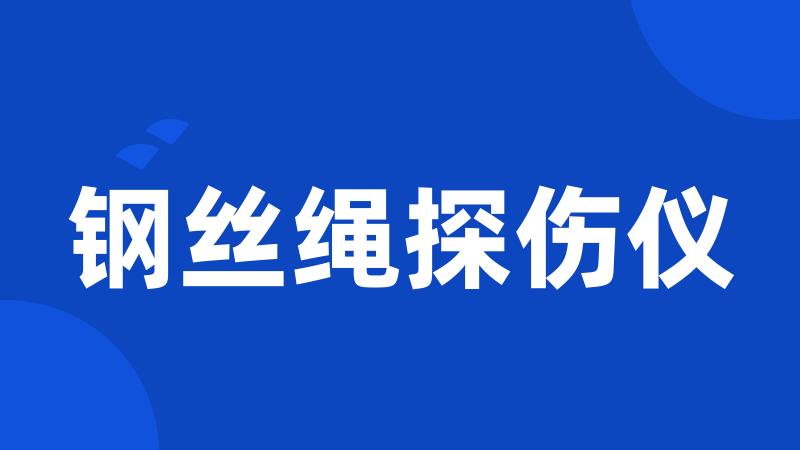 钢丝绳探伤仪