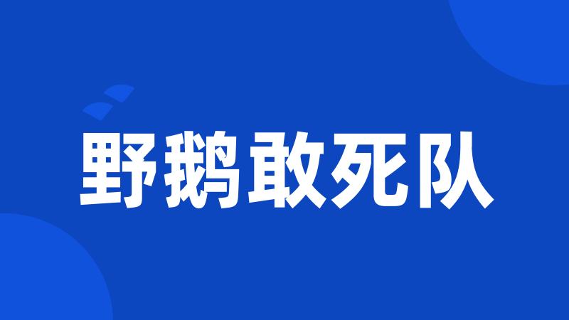 野鹅敢死队