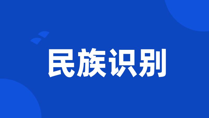 民族识别