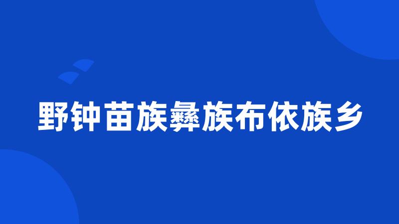 野钟苗族彝族布依族乡