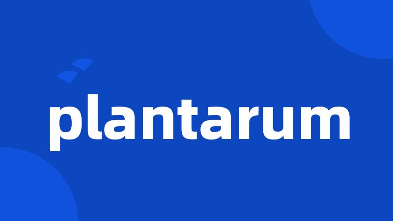 plantarum