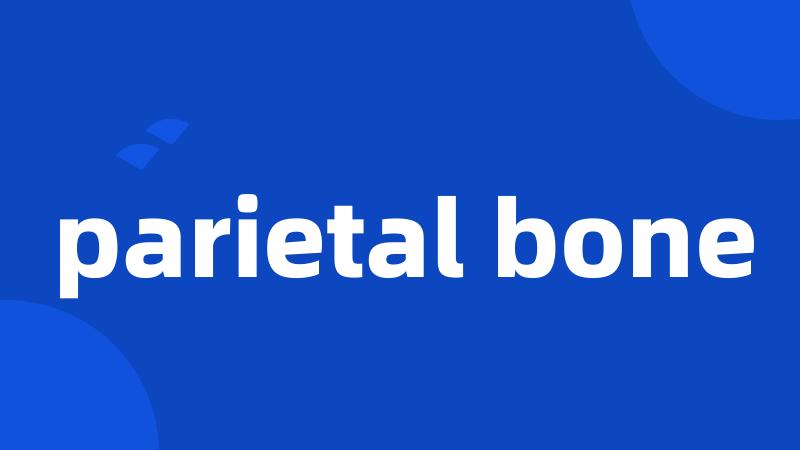 parietal bone