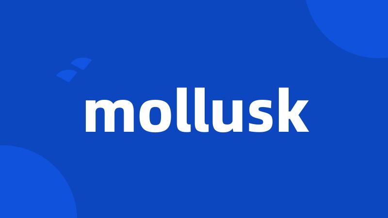 mollusk