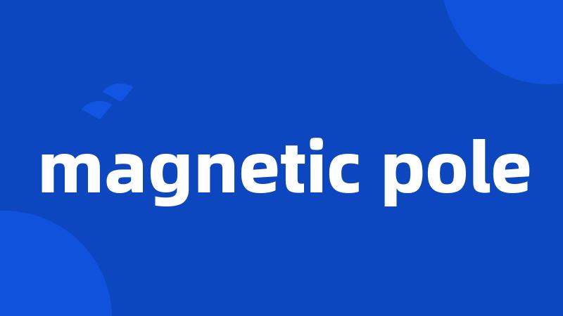 magnetic pole