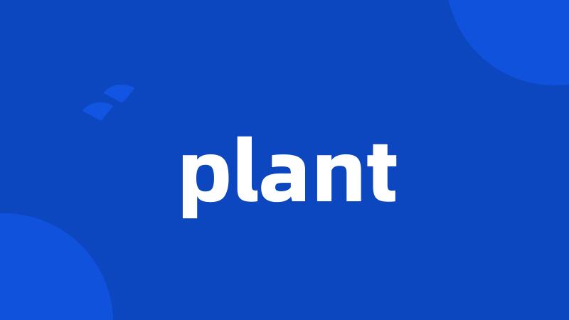 plant