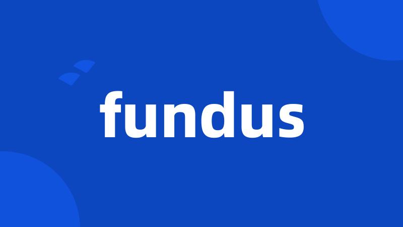 fundus