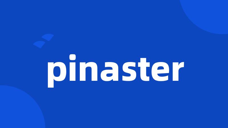 pinaster