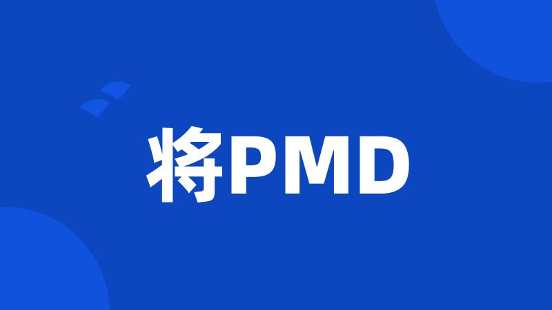 将PMD