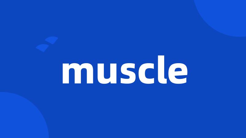 muscle