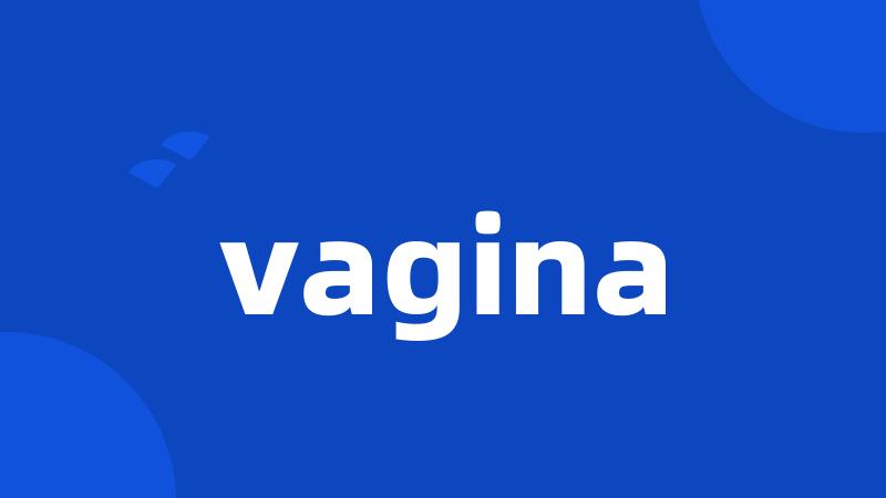 vagina