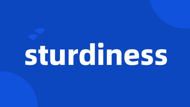 sturdiness