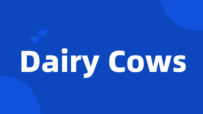 Dairy Cows