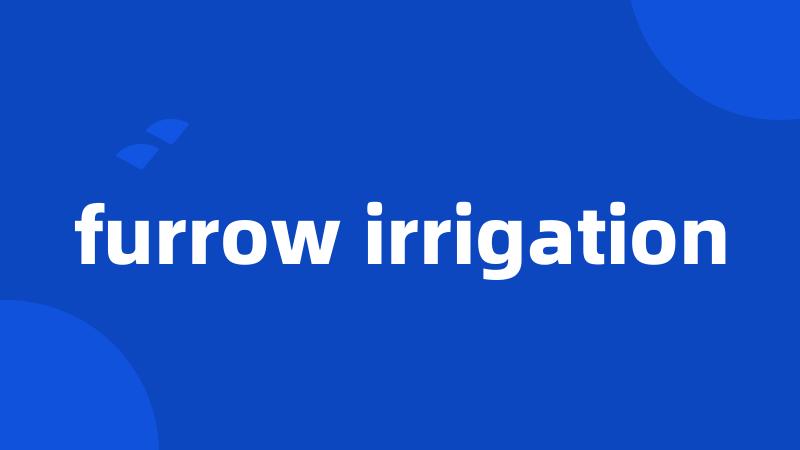 furrow irrigation