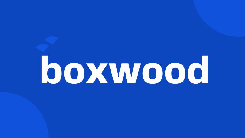 boxwood