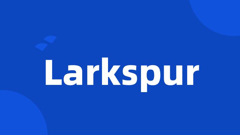 Larkspur