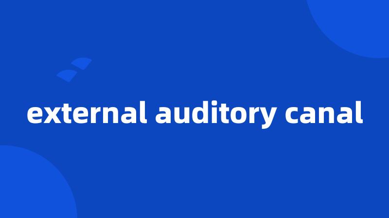 external auditory canal