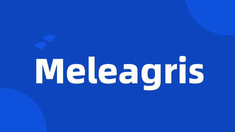 Meleagris