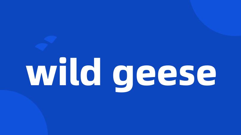 wild geese