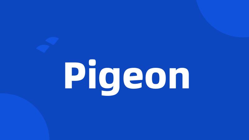 Pigeon