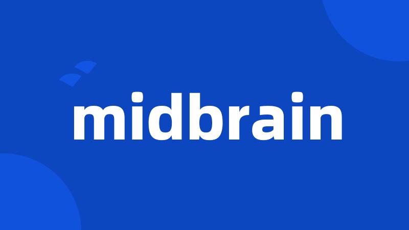 midbrain