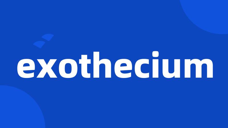 exothecium