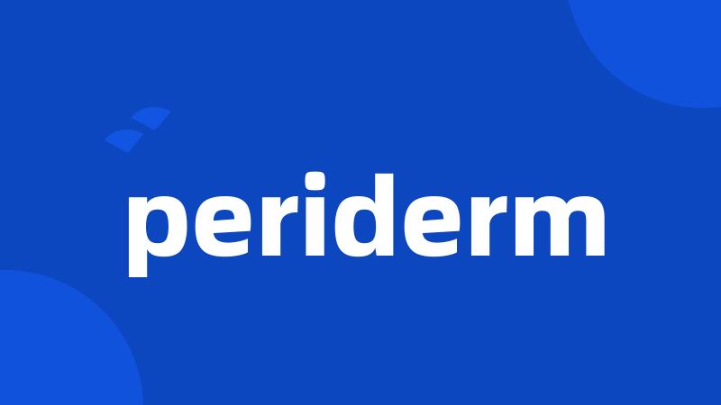 periderm