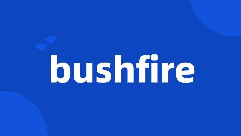 bushfire