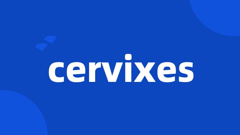 cervixes