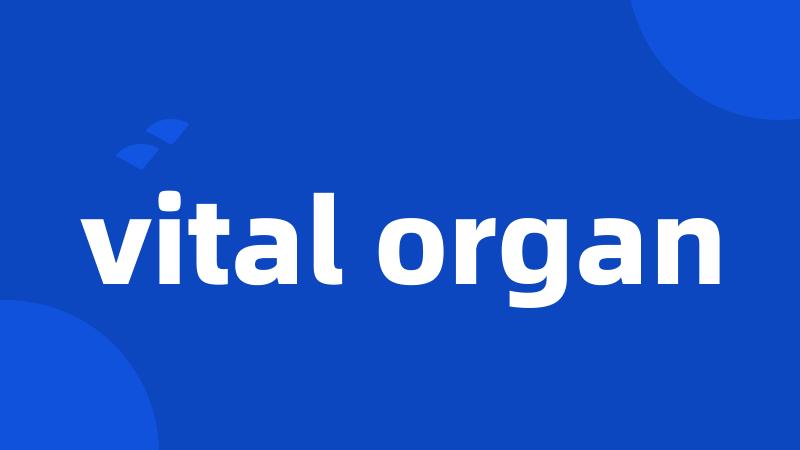 vital organ