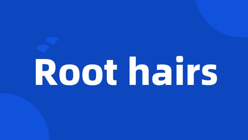 Root hairs