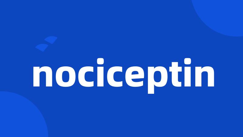 nociceptin