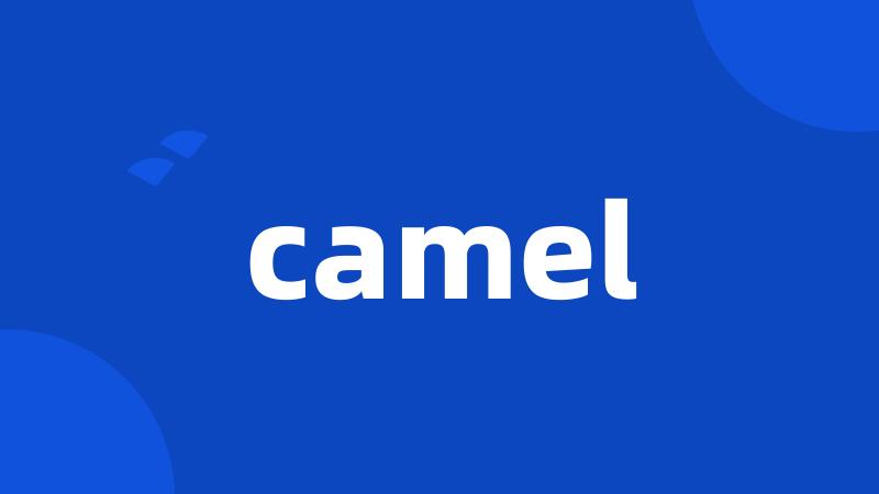 camel