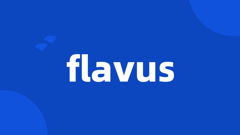 flavus