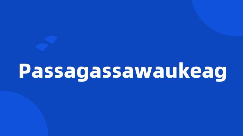 Passagassawaukeag