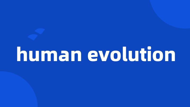 human evolution