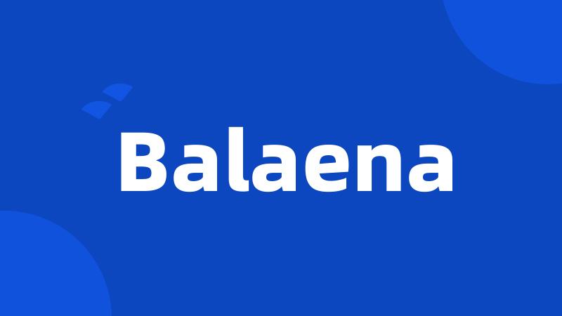 Balaena