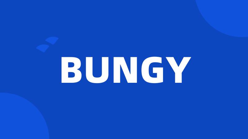 BUNGY