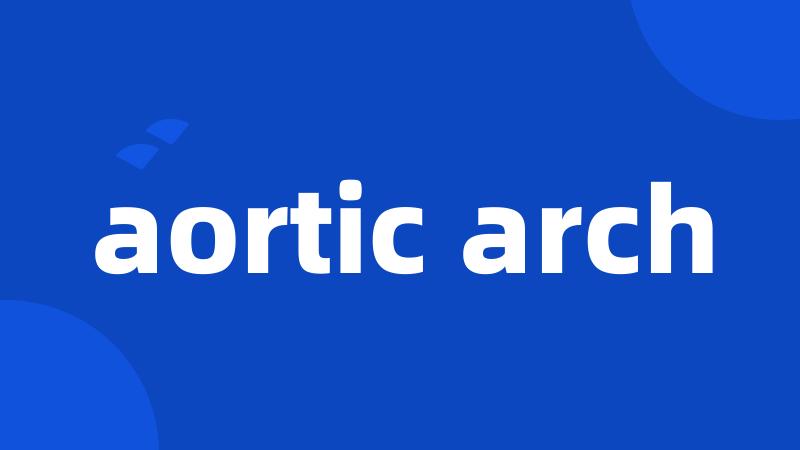 aortic arch