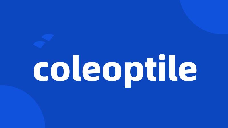 coleoptile