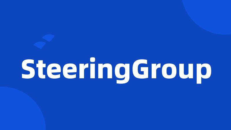 SteeringGroup