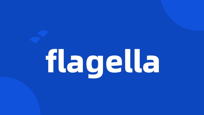 flagella